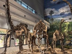 -自贡恐龙博物馆