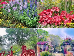 -广州市白云山风景名胜区