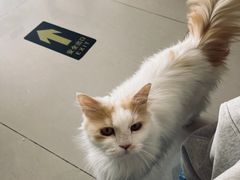 -平行世界·猫咖(首经贸店)