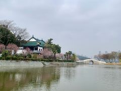 -月湖风景区