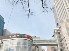 -乐天免税店(明洞店)