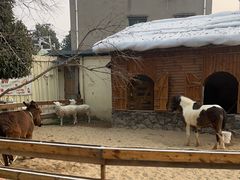 -HERRE·FARM 赫尔露营农场·团建聚会包场