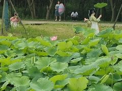 -梁鸿国家湿地公园