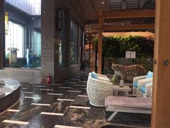 -弘安丽水温泉酒店