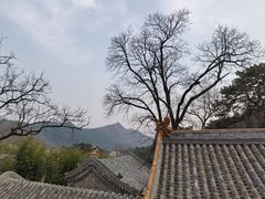 -潭柘寺景区