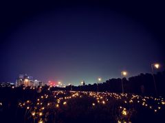 -深圳湾公园(南山区)