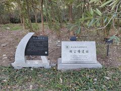-上海吴淞炮台湾国家湿地公园