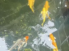 -不晚酒店(苏州观前平江路店)