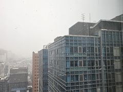 -新世界百货(明洞总店)