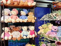 -济州岛泰迪熊博物馆