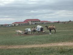 -呼伦贝尔大草原巴尔虎蒙古部落民俗旅游度假景区