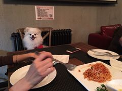 -百好乐宠物友好餐厅(朝外大街店)