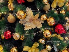 -广州富力丽思卡尔顿酒店