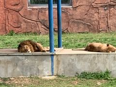 -无锡动物园·太湖欢乐园