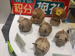 -春润大地海南椰子鸡(沙井京基百纳广场店)