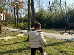 -合肥滨湖国家森林公园