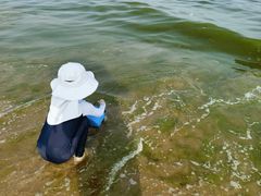 -金梦海湾浴场