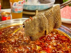 -蜀院鲜火锅(高升桥店)