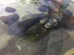 -鸿通城购物中心