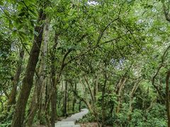 -梧桐山风景名胜区