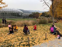 -北京植物园-展览温室