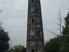 -上海佘山国家森林公园天马山园