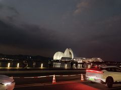 -野狸岛