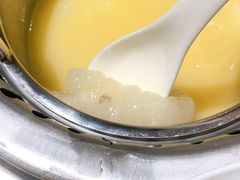 花胶鸡锅底-尚海豆捞(乐虹坊店)