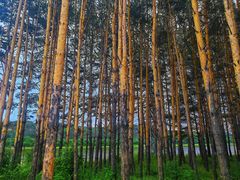 -北极村旅游风景区