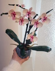 -乐高授权专卖店(新北万达店)