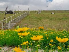 -佛手湖郊野公园