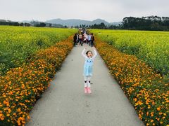 -光明小镇欢乐田园