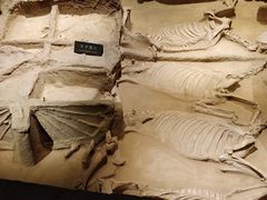 -洛阳周王城天子驾六博物馆