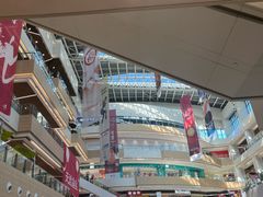 -阳阳中国饭(龙湖大兴天街)