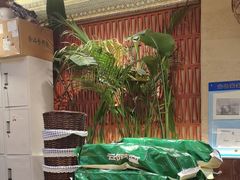 -云阿蛮云南生烫牛肉米线(奉贤路店)