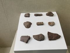 -呼伦贝尔民族博物馆