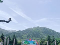 -西安秦岭野生动物园