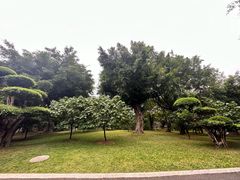 -南宁南湖公园