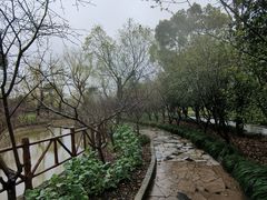-南汇桃花村