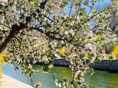 -元大都城垣遗址公园