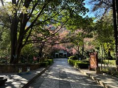 -蝴蝶泉公园