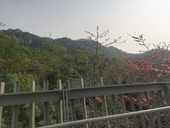 -福道