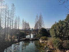 -无锡梅园公园