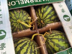 -西郊国际农产品交易中心