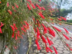 -广州市白云山风景名胜区