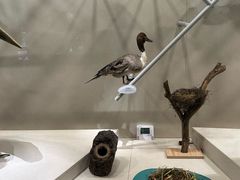 -中国湿地博物馆