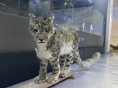 -青藏高原野生动物园