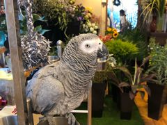 -森野花艺培训·企业团建活动沙龙