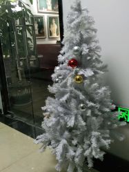 -克拉女神写真馆·匠心定制