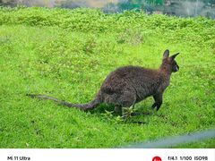 -沈阳森林动物园